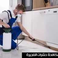افضل شركة مكافحة حشرات بالفجيرة