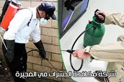 أفضل شركة مكافحة حشرات بالفجيرة 0509750828 4 شركة مكافحة حشرات الفجيرة