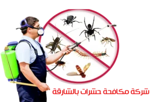 شركة مكافحة حشرات بالشارقة 0509750828 خصم 25% 3 شركة مكافحة حشرات بالشارقة