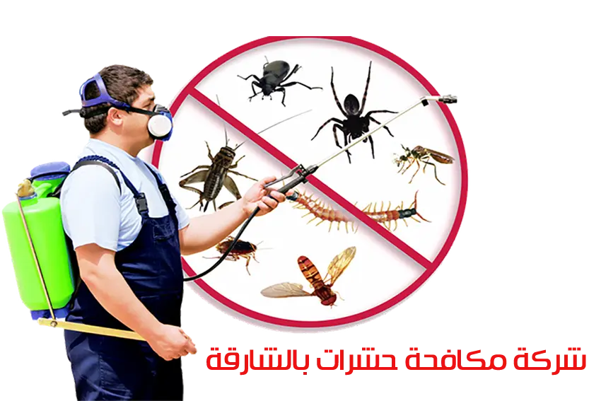 مكافحة الحشرات المعتمدة من بلدية الشارقة
