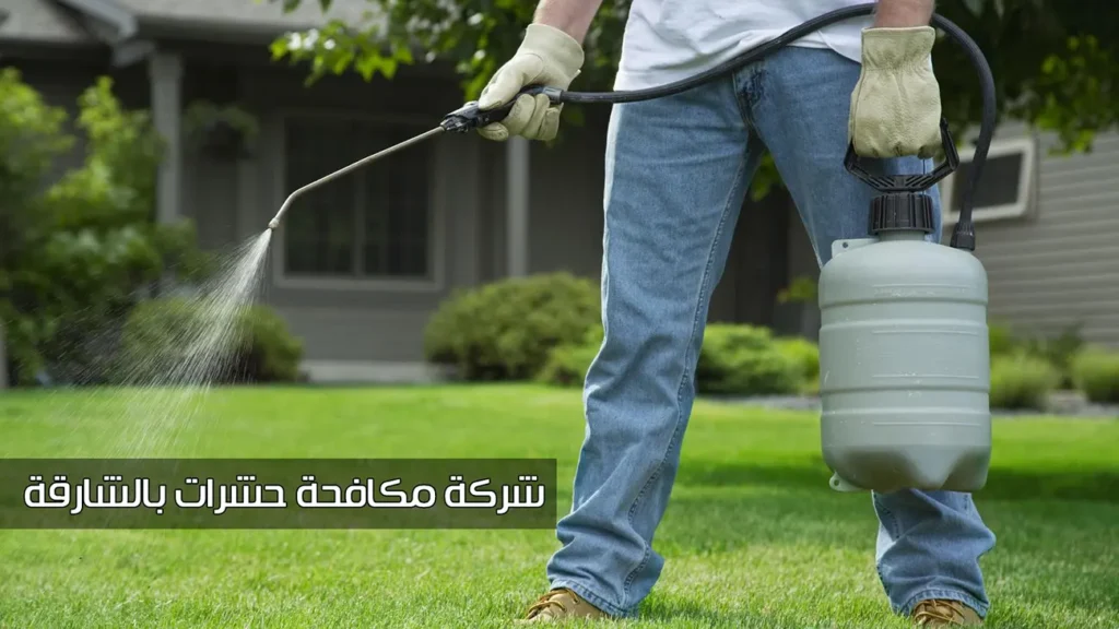 أفضل شركة مكافحة حشرات بالشارقة بأقل الأسعار