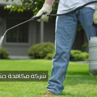 أفضل شركة مكافحة حشرات بالشارقة بأقل الأسعار