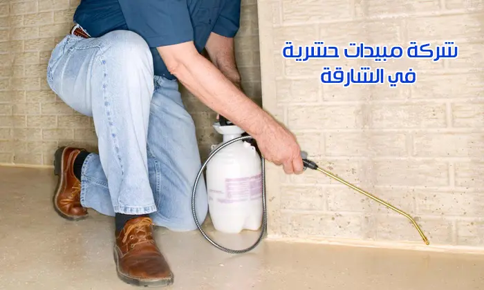 شركة رش حشرات بالشارقة