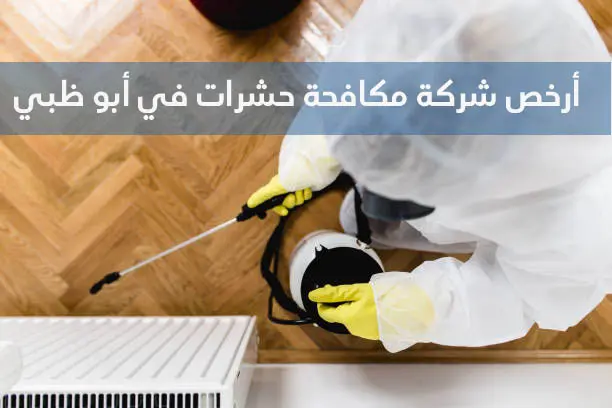 أرخص شركة مكافحة حشرات في أبو ظبي