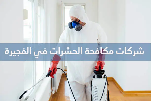 أفضل شركة مكافحة حشرات بالفجيرة 0509750828 5 شركات مكافحة حشرات بالفجيرة