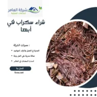شراء سكراب في أبها 1 شراء سكراب في أبها